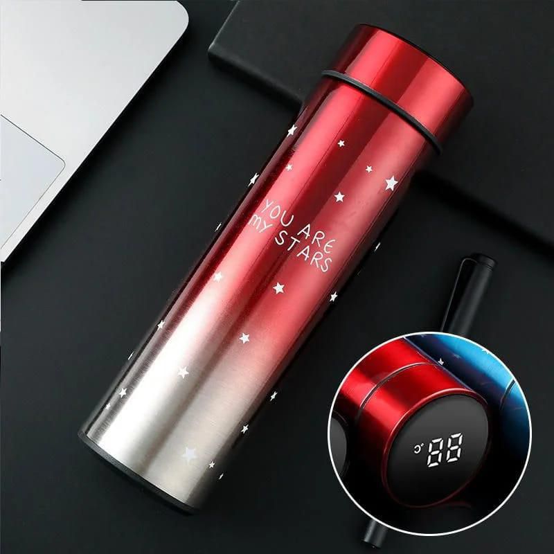 Smart Temperature Display Water Bottle