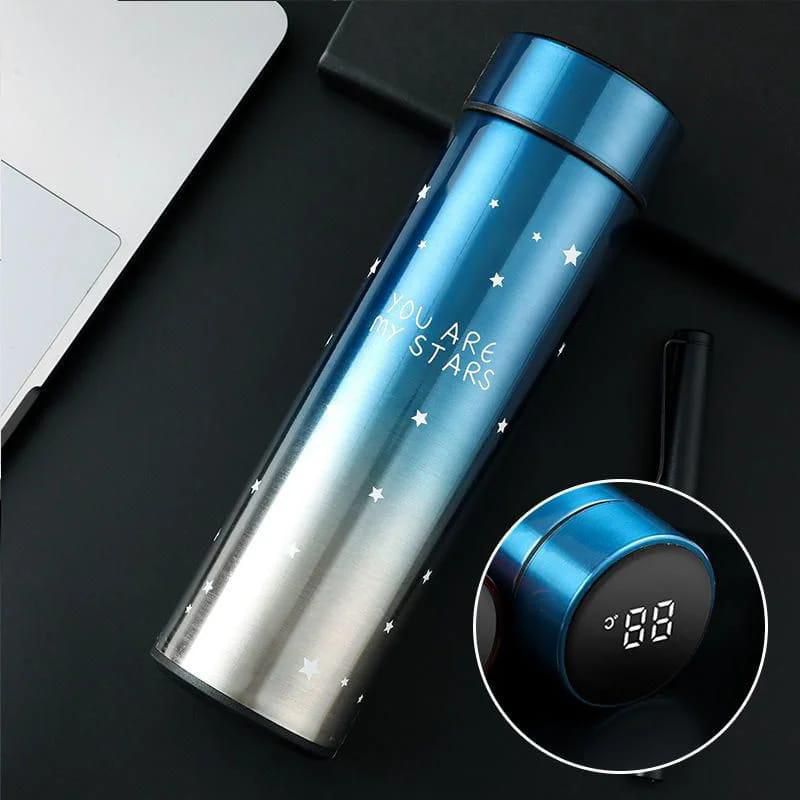 Smart Temperature Display Water Bottle