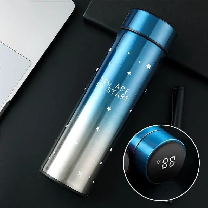 Smart Temperature Display Water Bottle
