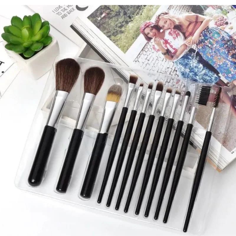 Professional Makeup Brush Set 12 Pieces
