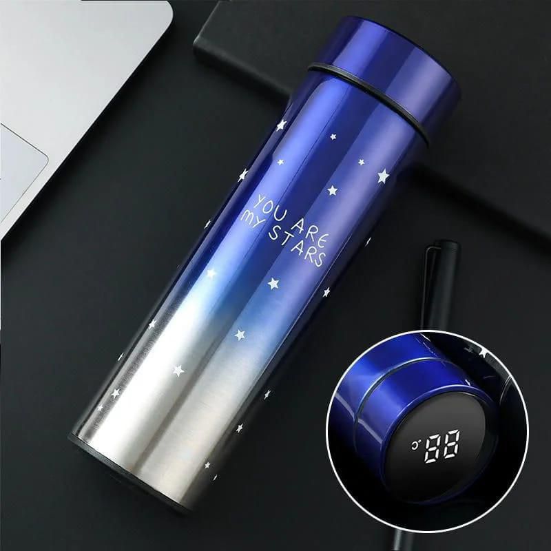 Smart Temperature Display Water Bottle