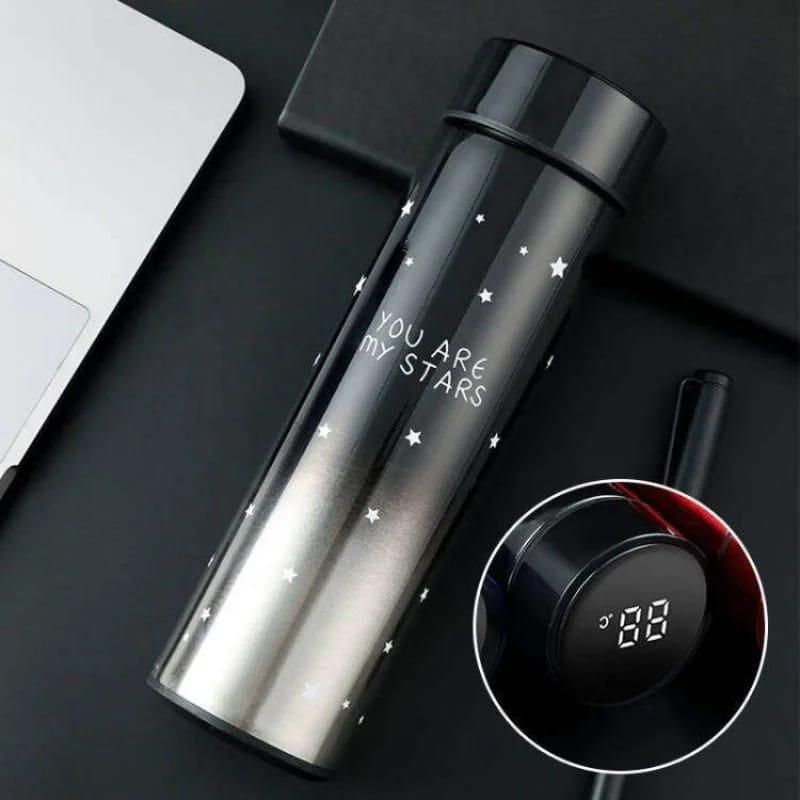 Smart Temperature Display Water Bottle